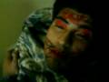 videos de chencha     313