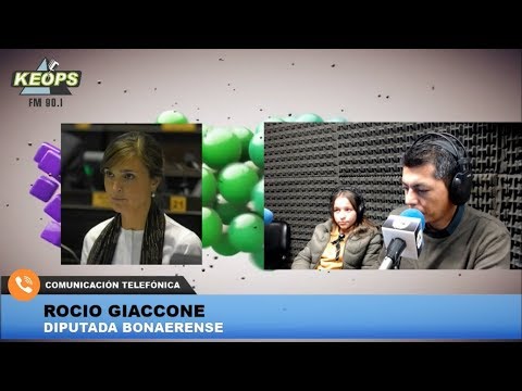 Diputada Giaccone habló sobre la falta de control a Vidal y lanzó fuertes críticas
