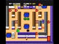 Cratermaze (TurboGrafx-16)