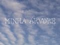 Minha árvore