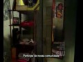 Ser Descolado