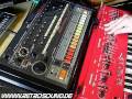 Roland SH-101 + TR-808 + Juno-60