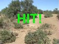 airsoft at the trenches