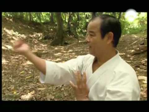 Artes marciales - Karate - Parte 1 de 5