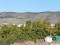 Lobera de Onsella 12
