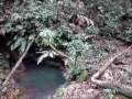 Bungle In The Jungle - Jethro Tull