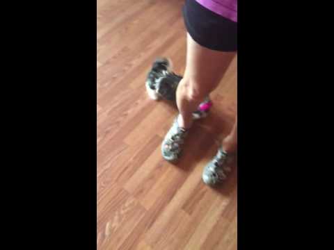 Look at this beautiful little girl play!