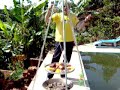 Churrasqueira Tipo Alem�
