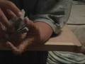 basic card moves 1