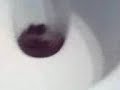 PELU;MONTSE-ALBA-NETA PELU;MONTSE-ALBA-NETA