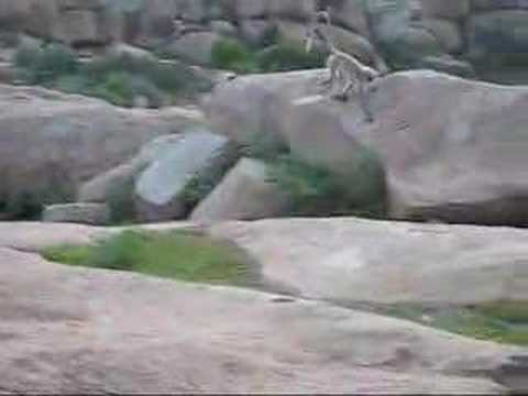 Hampi and the Ancient City of ...