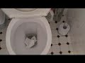 Do Australian toilets really swirl the other way?