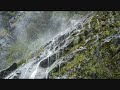 Fiordland and South Island New Zealand Video