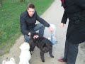 Billy in het Vondelpark deel 2