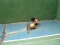 TCHUCO BATENDO BOLA TCHUCO BATENDO BOLA