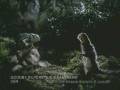 budweiser frogs and lizards saga.wmv