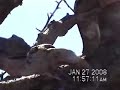 huitzuco ¿volcán picacho? culebra enojada part 2