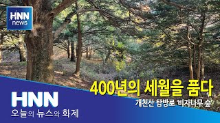 400년의 세월을 품다