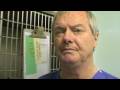 Crisis point at Animal Hospital