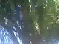 videos de Elizeu