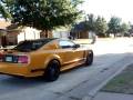 Boss Under Glass PJ Saleen w/ Long Tubes