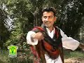 Afeez Baloch