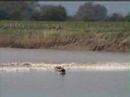 Severn Bore April 20th 2007