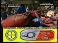 Festival del Cangrejo de R�o Herrera de Pisuerga.
