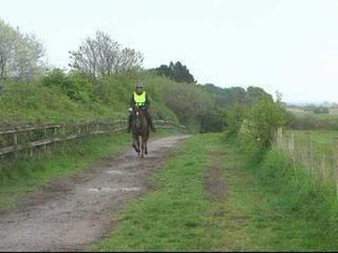 Endurance GB Cheshire Group - Wirral ...