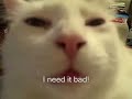 re-the-mean-kitty-song.html
