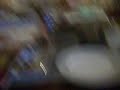 herni haciendo el pez-perro
