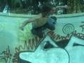 dogtown skates