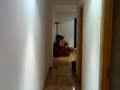 casa guarra