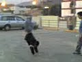 videos-estupidos-3-stupid-videos.html
