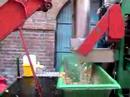 Milling Nehou cyder apples at the Lionyard, Leominster.
