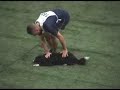 Agility Bloopers - World Championship Basel 2006