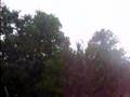 Rain Storm