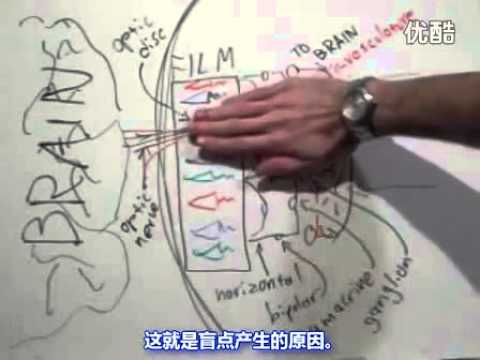 盲点以及怎样看见在你眼中的血管(视频)