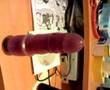 Guarda video