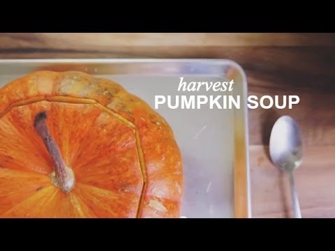 how to harvest pumpkin meat