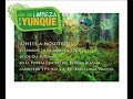 El Yunque Cleanup 2008