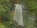 El Yunque Cleanup 2008