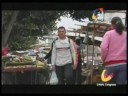 La Cámara y sus regiones