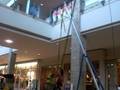 Bouncing @ Triangle Town square Mall