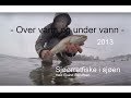Sjøørretfiske i sjøen - Over vann og under vann