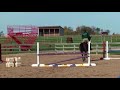 Zolinde \"Zoe\" - Dutch Warmblood - For Sale Zolinde \"Zoe\" - Dutch Warmblood - For Sale