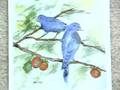 watercolors