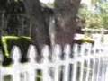 Wisteria Lane Through the Eyes of Rachel Fox - Part 1