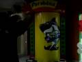 videos de Niver Lucas