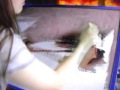 Sexy Tania Speed Painting